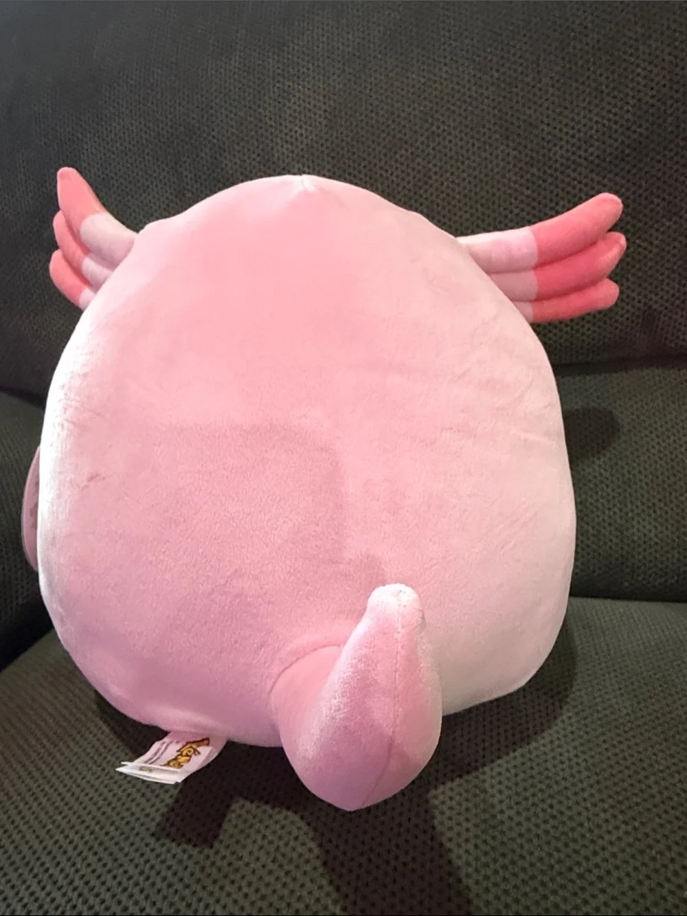 Chansey Pink Plush Squishmallow Pokemon collectible!